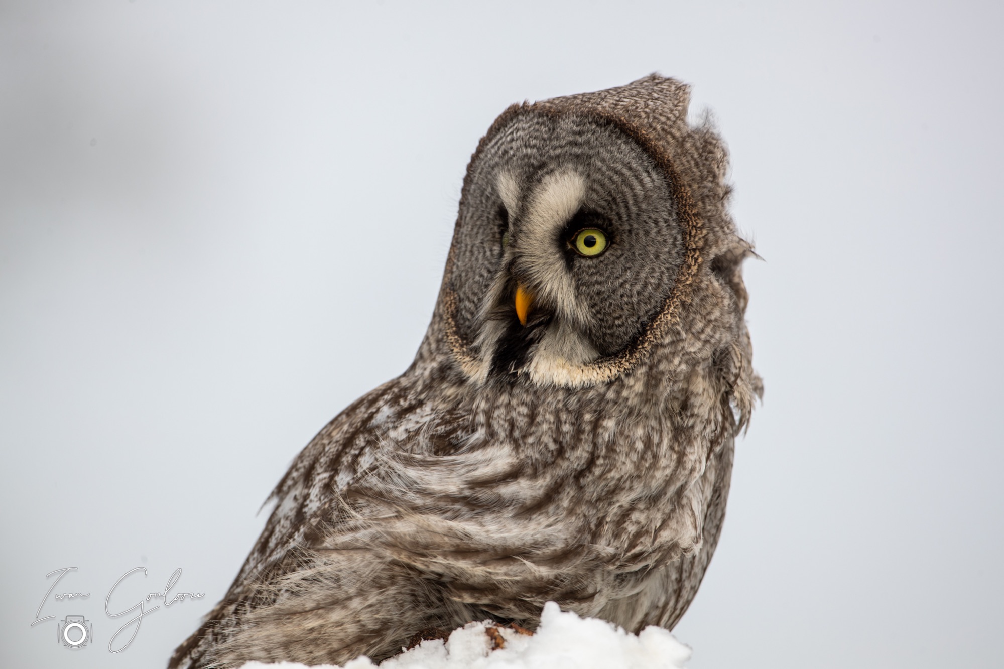 01 april 2022 104207 1DX46991